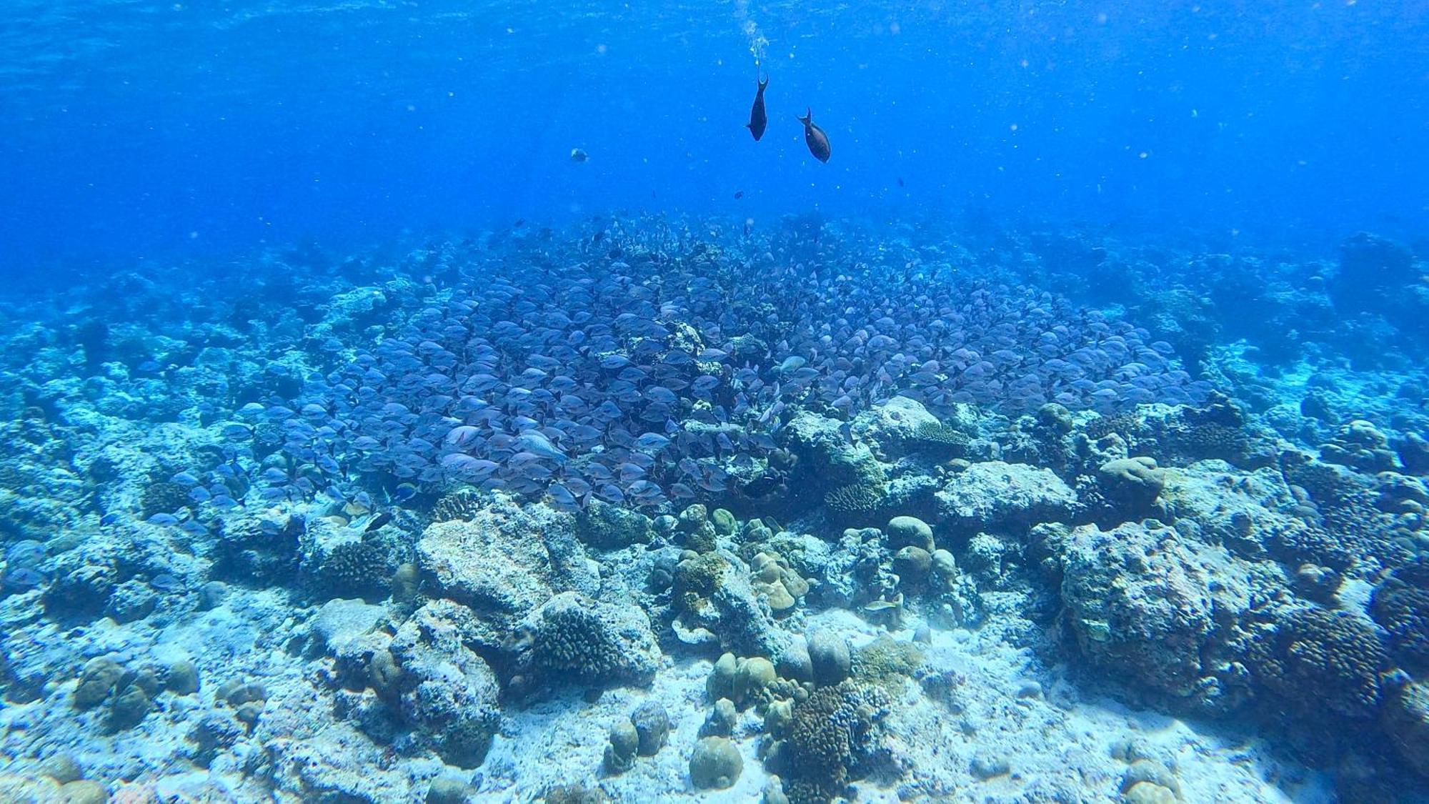 Konut By Thakuru Hotel Guraidhoo  Kültér fotó