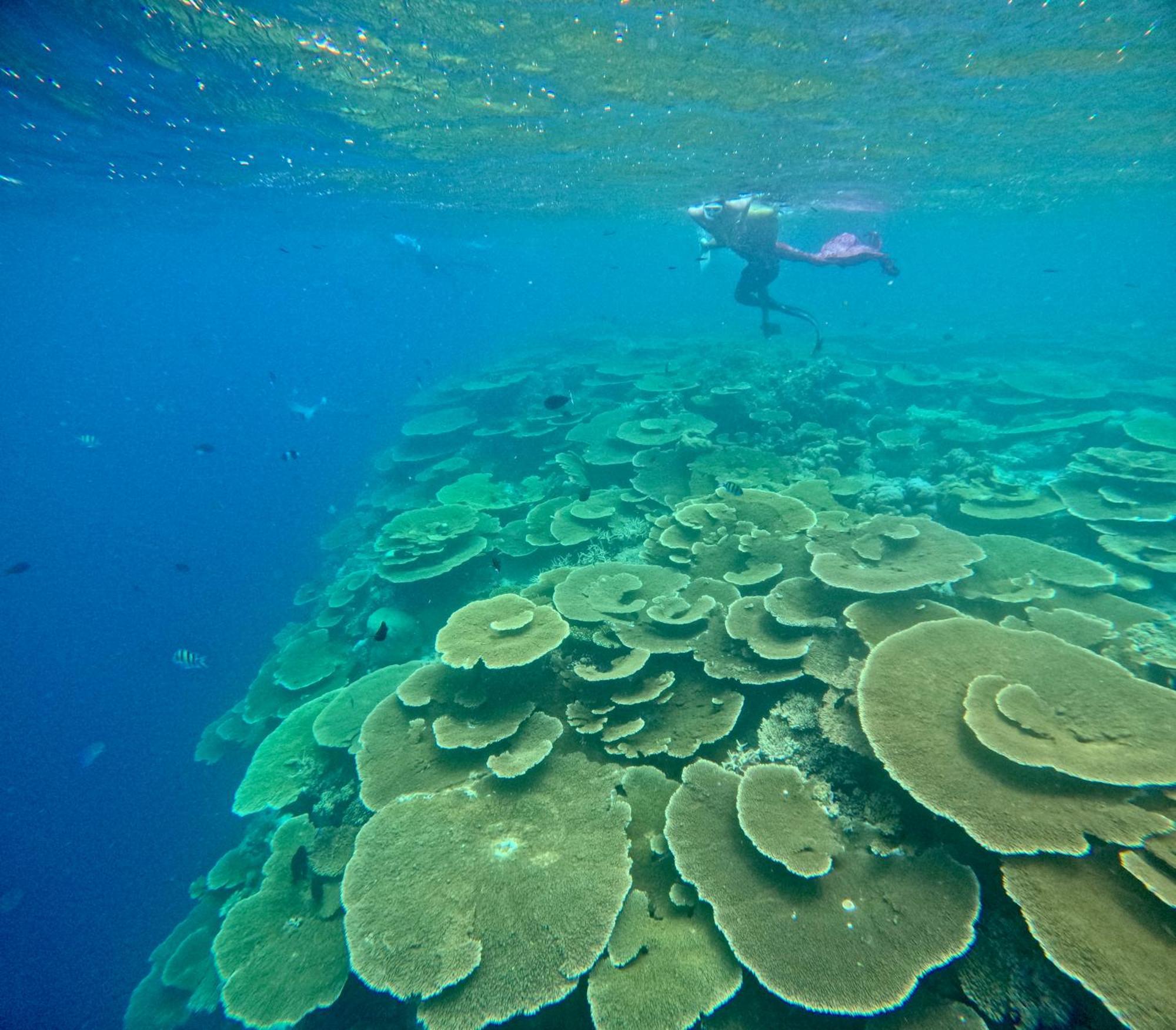 Konut By Thakuru Hotel Guraidhoo  Kültér fotó