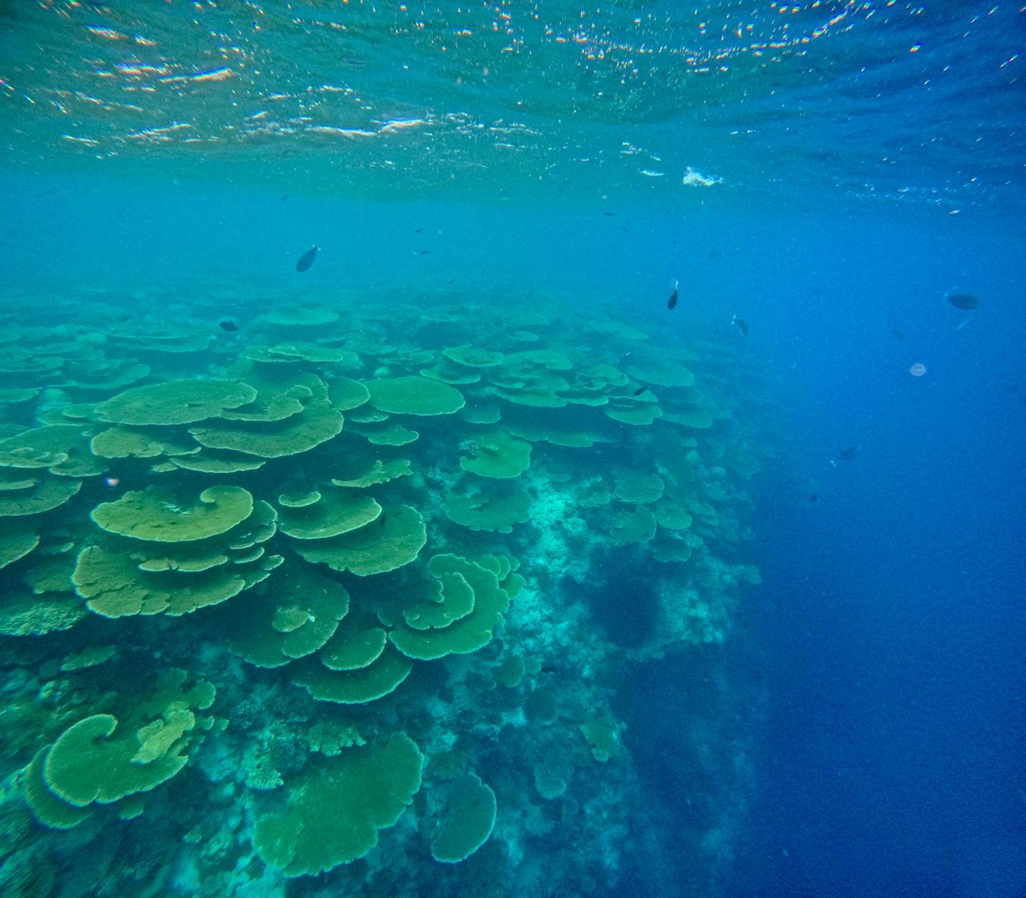 Konut By Thakuru Hotel Guraidhoo  Kültér fotó