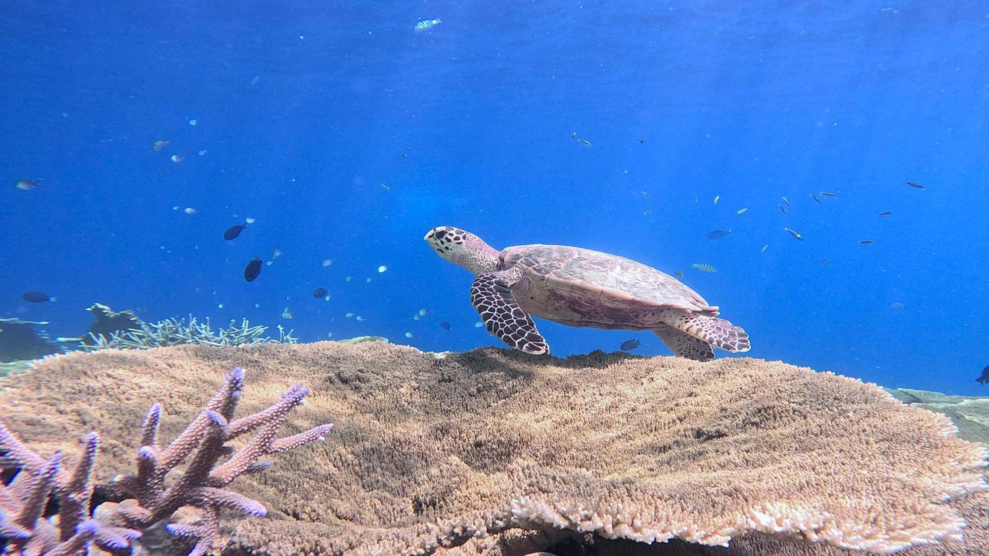 Konut By Thakuru Hotel Guraidhoo  Kültér fotó
