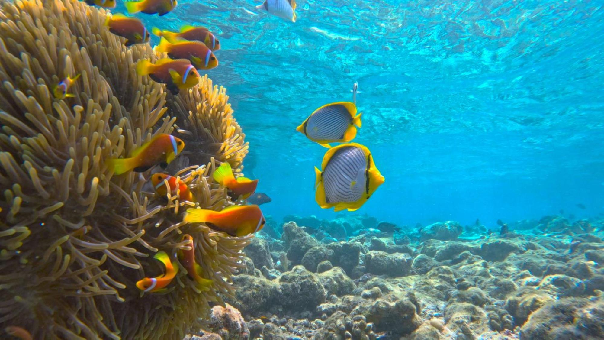 Konut By Thakuru Hotel Guraidhoo  Kültér fotó