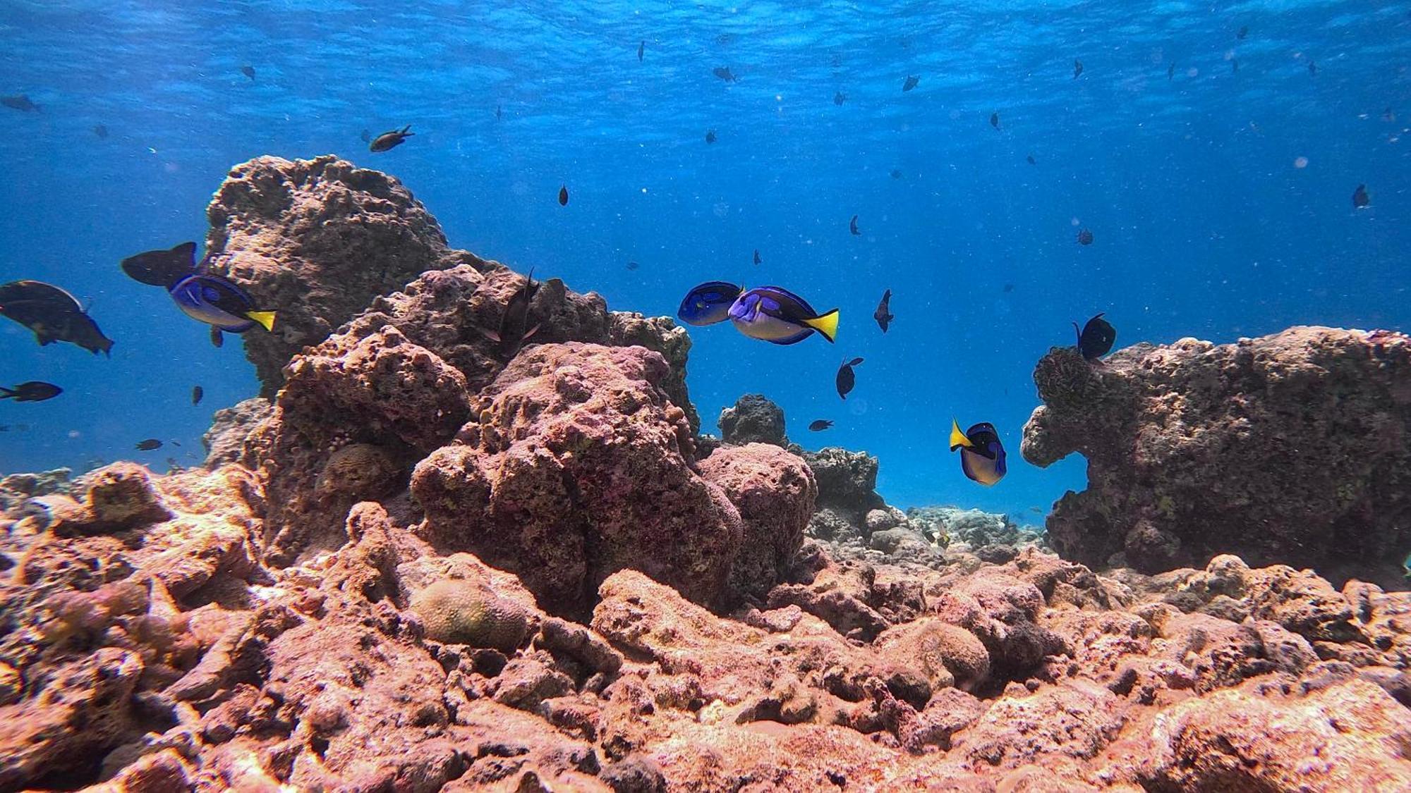 Konut By Thakuru Hotel Guraidhoo  Kültér fotó